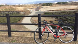 CA3BBAC3-7763-4DAF-A93F-090809441B66.jpeg