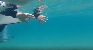 海.jpg